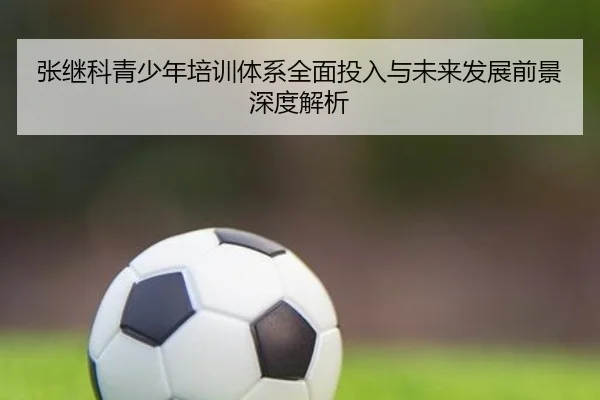 张继科青少年培训体系全面投入与未来发展前景深度解析